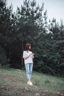 办公室3在线观看免费版电视剧大全